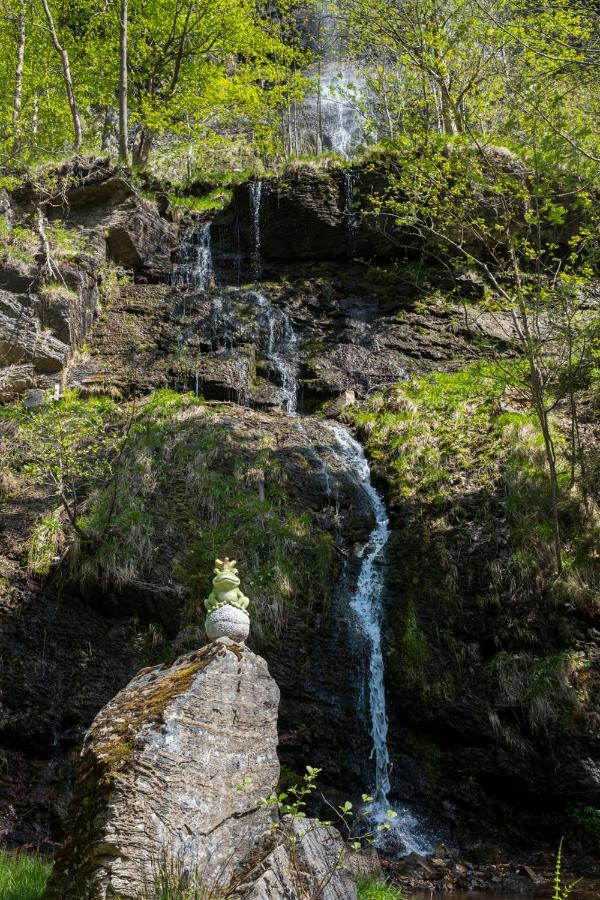 Koenigreich Romkerhall Schulenberg im Oberharz Exterior foto